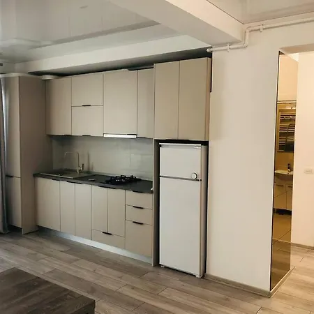 Dxn Luxury 4 Apartment Navodari